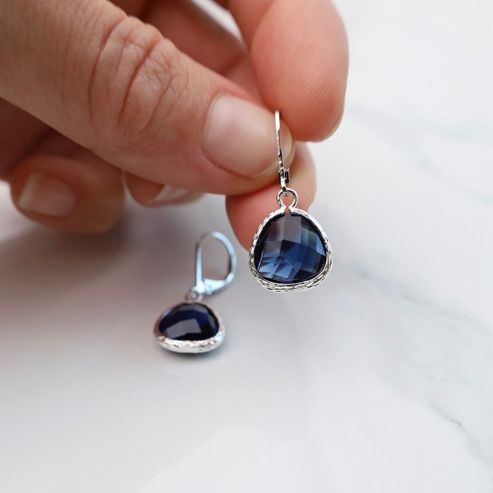 
                      
                        EAR Sterling Silver Montana Blue Crystal Lever Back Earrings
                      
                    