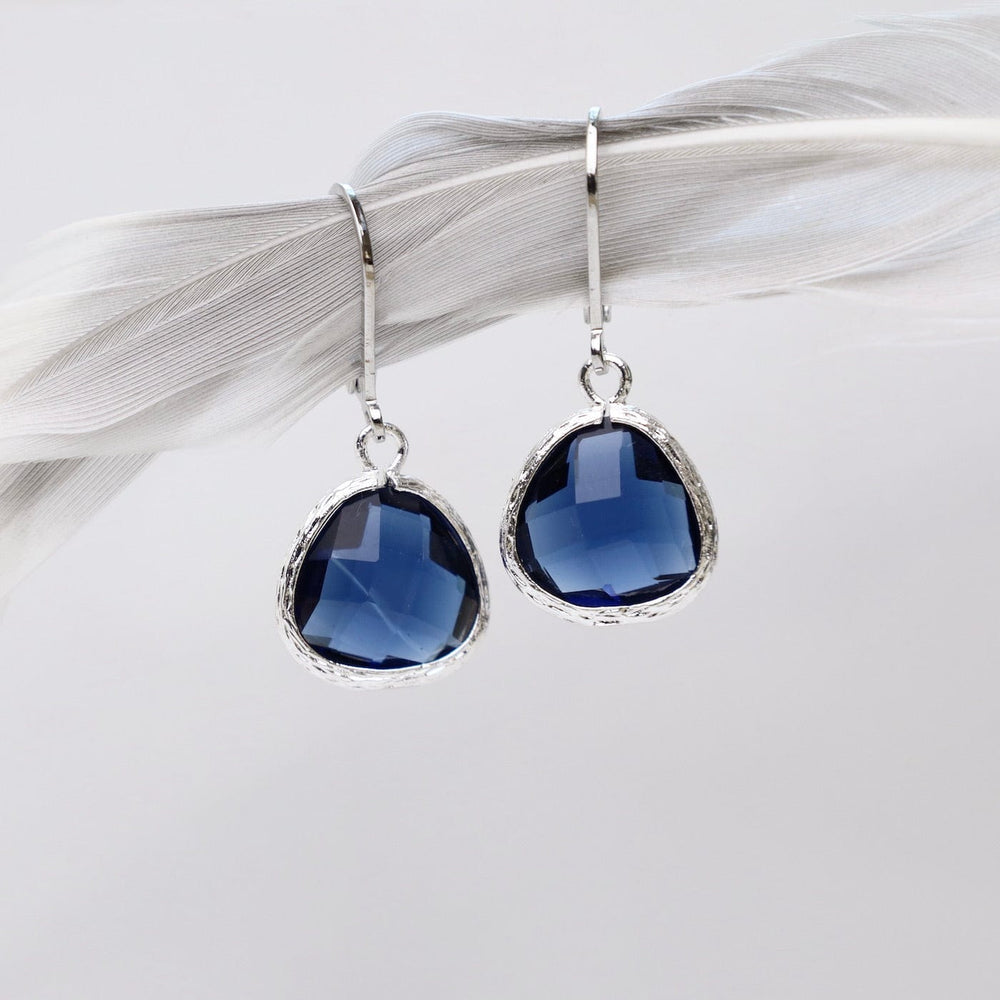 
                  
                    EAR Sterling Silver Montana Blue Crystal Lever Back Earrings
                  
                