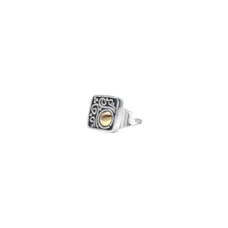 Load image into Gallery viewer, EAR Sterling Silver Square Stud with 22k Gold Dot
