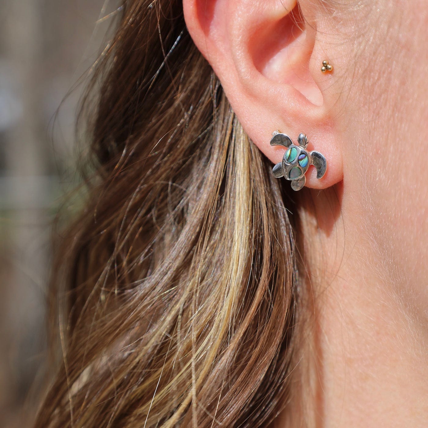EAR Sterling Silver Tiny Abalone Turtle Post Earrings