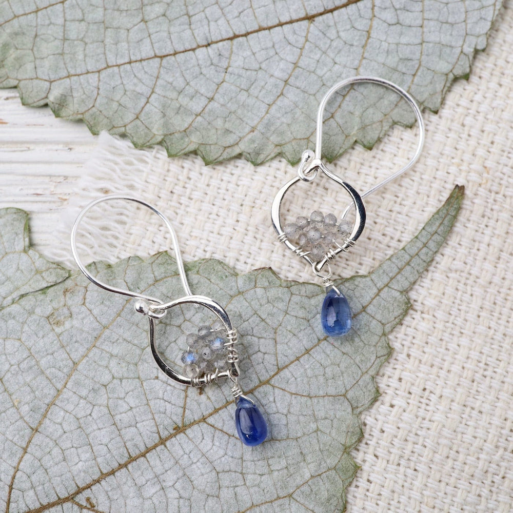 
                      
                        EAR Tiny Silver Arabesque Kyanite Earring
                      
                    