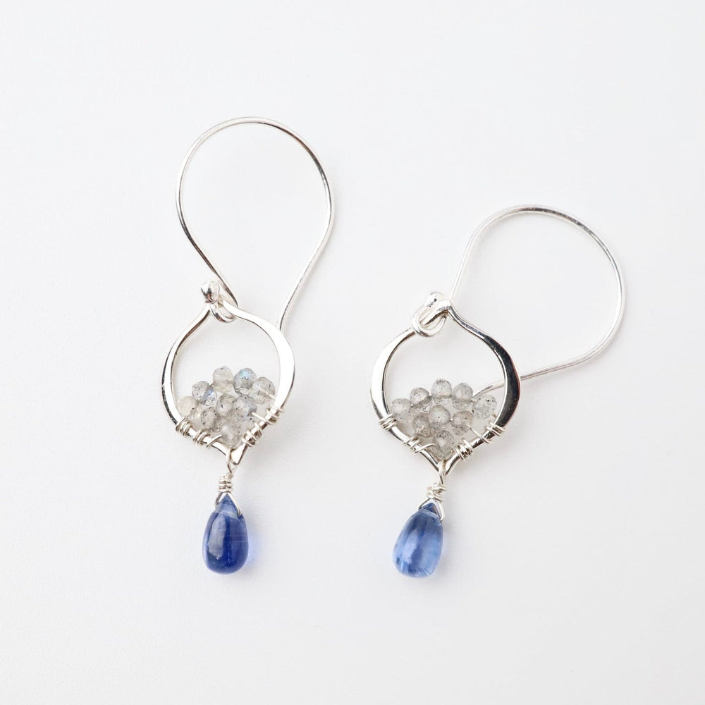 
                      
                        EAR Tiny Silver Arabesque Kyanite Earring
                      
                    