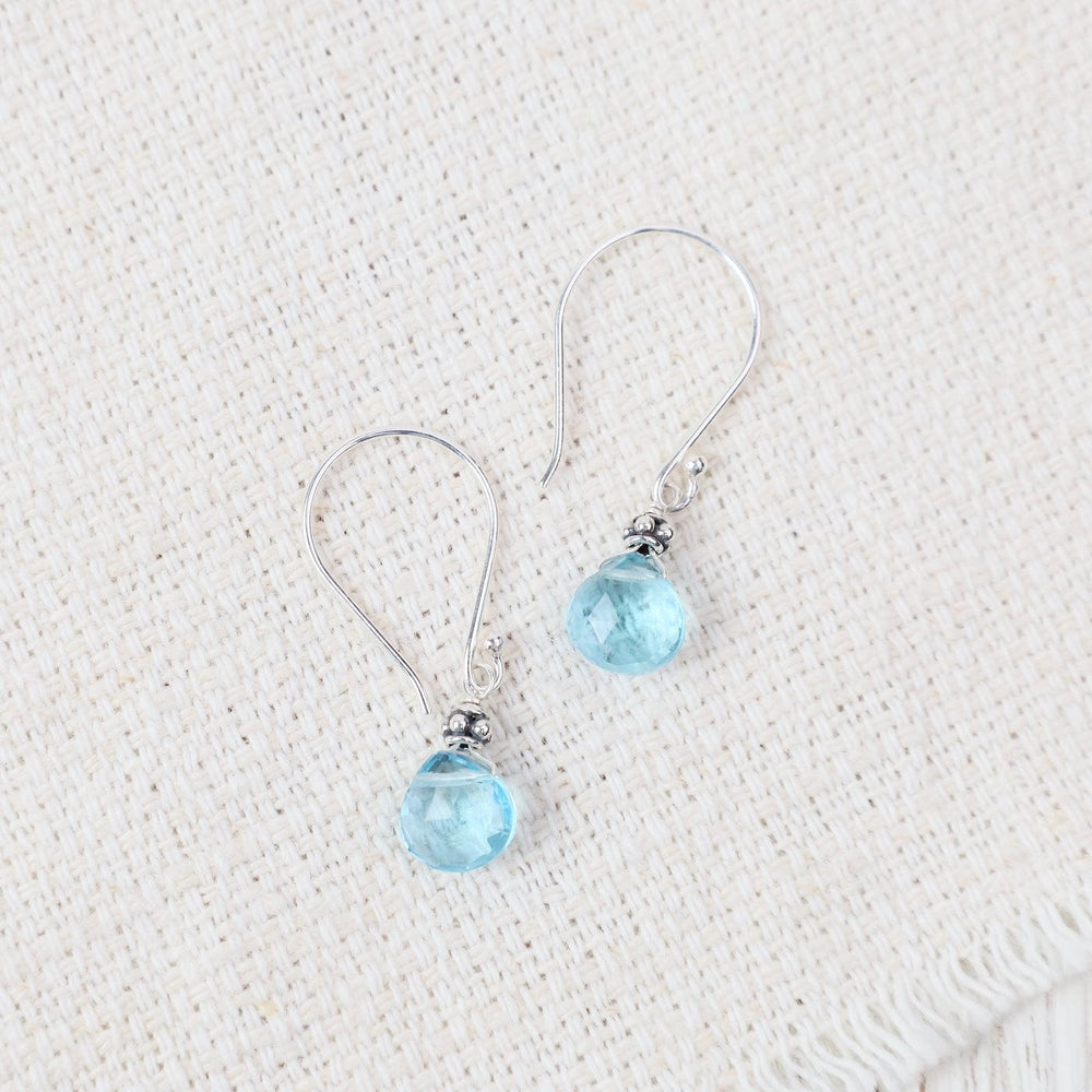 
                  
                    EAR Tiny Swiss Blue Quartz Earrings
                  
                