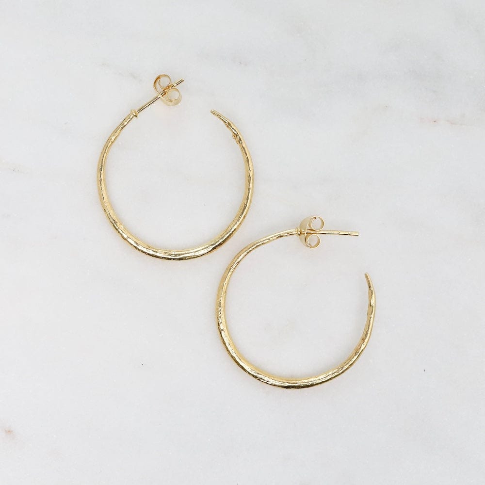 
                      
                        EAR-VRM 24k Gold Vermeil Brushed Open Hoops
                      
                    