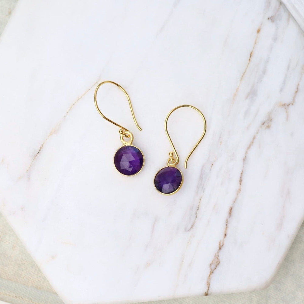 
                      
                        EAR-VRM 8mm Amethyst Coin Earrings
                      
                    