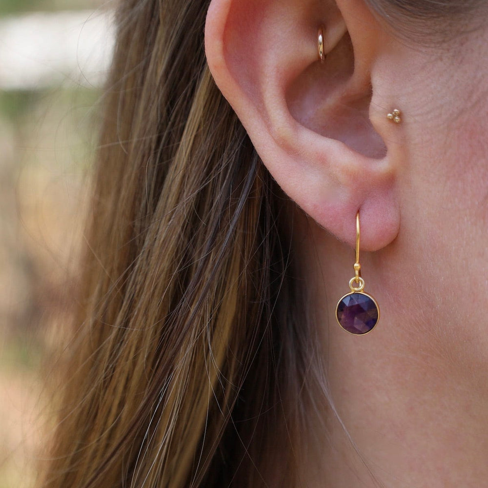 
                      
                        EAR-VRM 8mm Amethyst Coin Earrings
                      
                    