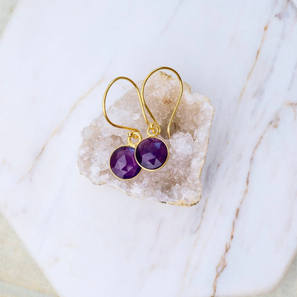 
                      
                        EAR-VRM 8mm Amethyst Coin Earrings
                      
                    