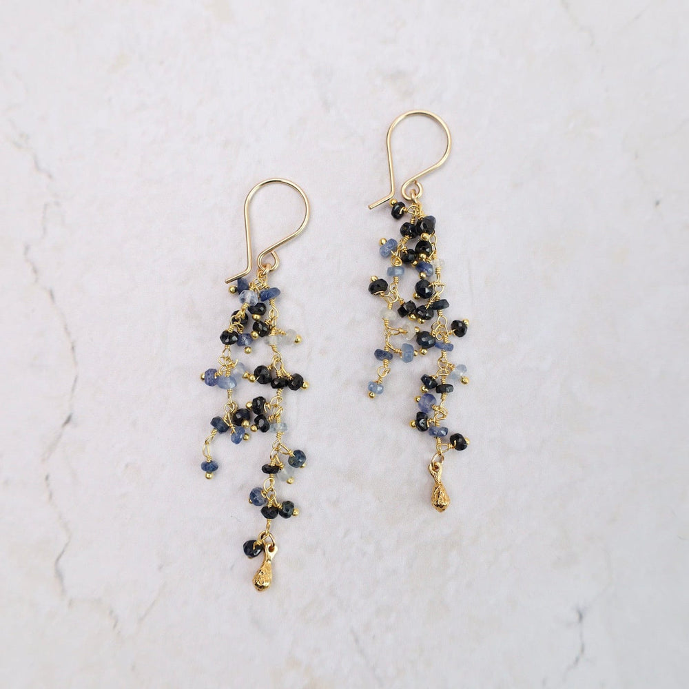 EAR-VRM Double Strand Dangle Pod Earring - Sapphire