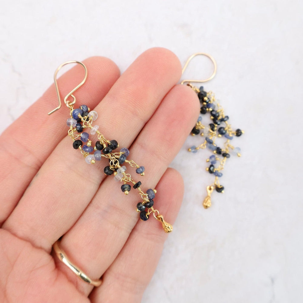 
                  
                    EAR-VRM Double Strand Dangle Pod Earring - Sapphire
                  
                