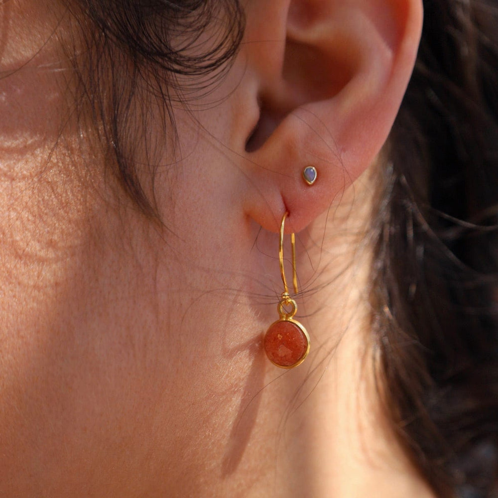 
                      
                        EAR-VRM Gold Sunstone Coin Earrings
                      
                    