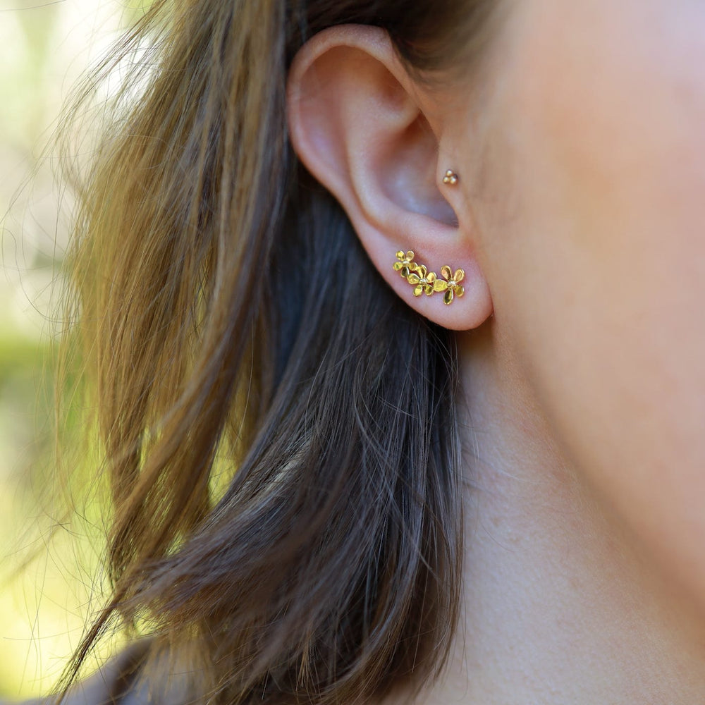 
                  
                    EAR-VRM Gold Vermeil Climbing Curve of Forget-me-not Flowers Studs
                  
                