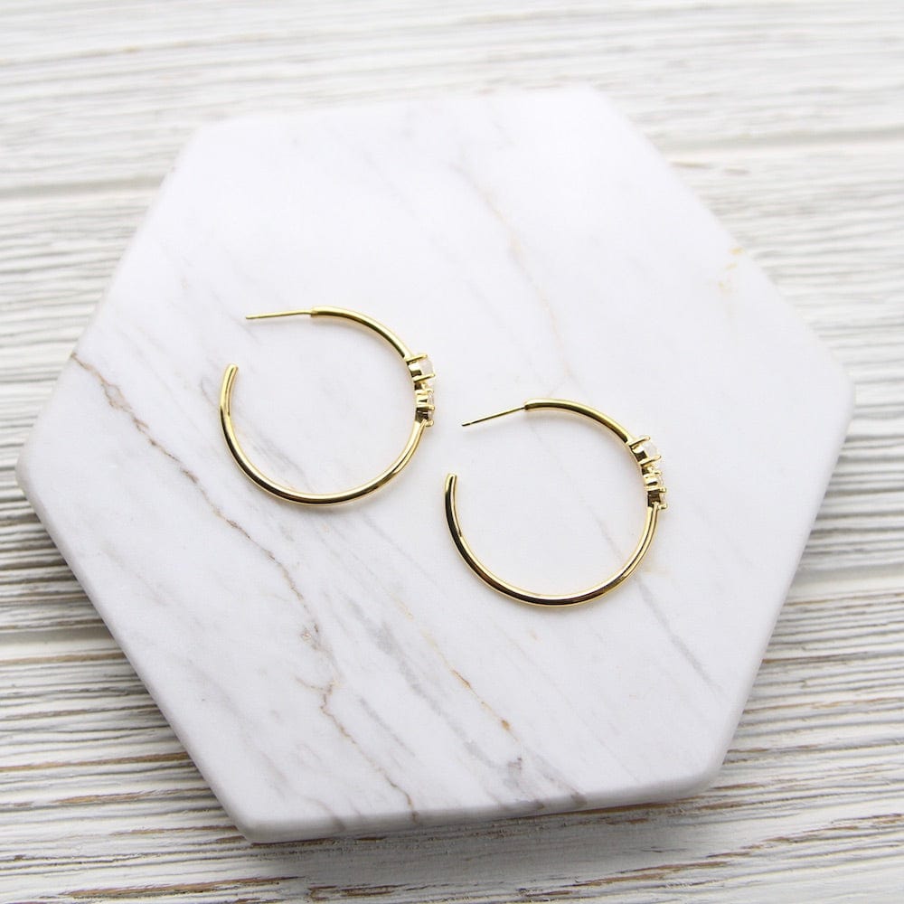 
                  
                    EAR-VRM Gold Vermeil Rainbow Moonstone and Cubic Zirconium Hoop
                  
                