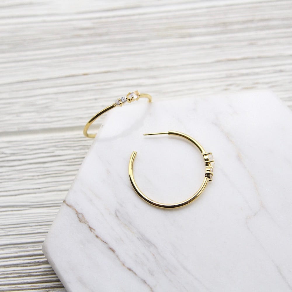 
                  
                    EAR-VRM Gold Vermeil Rainbow Moonstone and Cubic Zirconium Hoop
                  
                