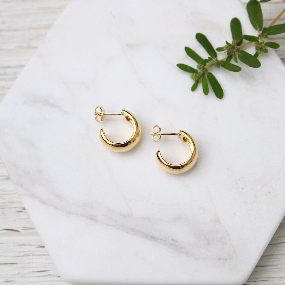 
                      
                        EAR-VRM Gold Vermeil Small Wide Hoop on Post
                      
                    