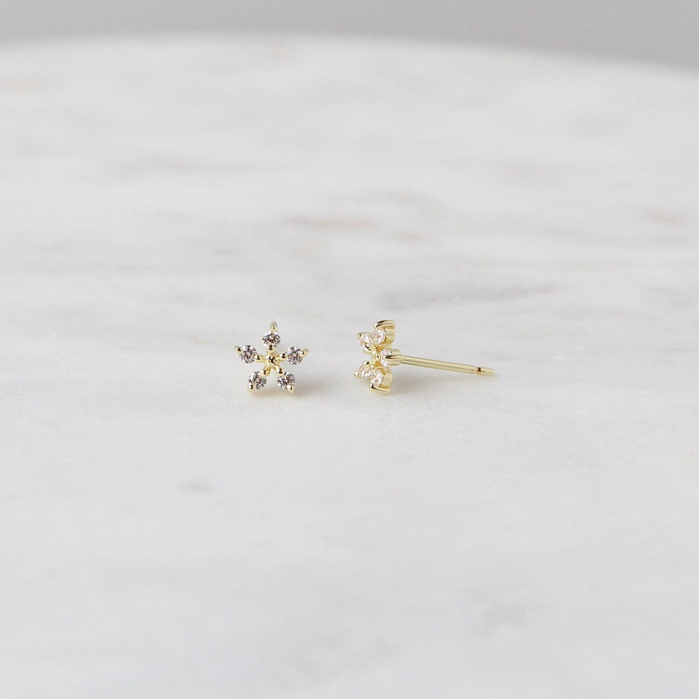 
                  
                    EAR-VRM Gold Vermeil Tiny CZ Flower Post Earring
                  
                