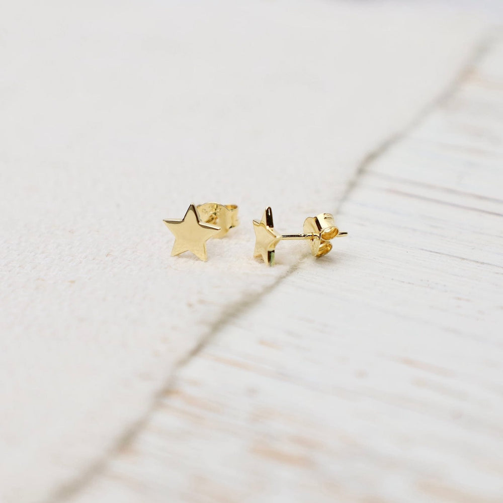 
                  
                    EAR-VRM Gold Vermeil Tiny Star Stud Earrings
                  
                