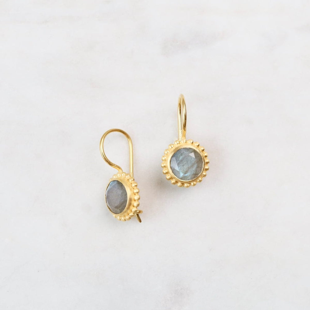 
                  
                    EAR-VRM Karma Labradorite Wire Earrings
                  
                