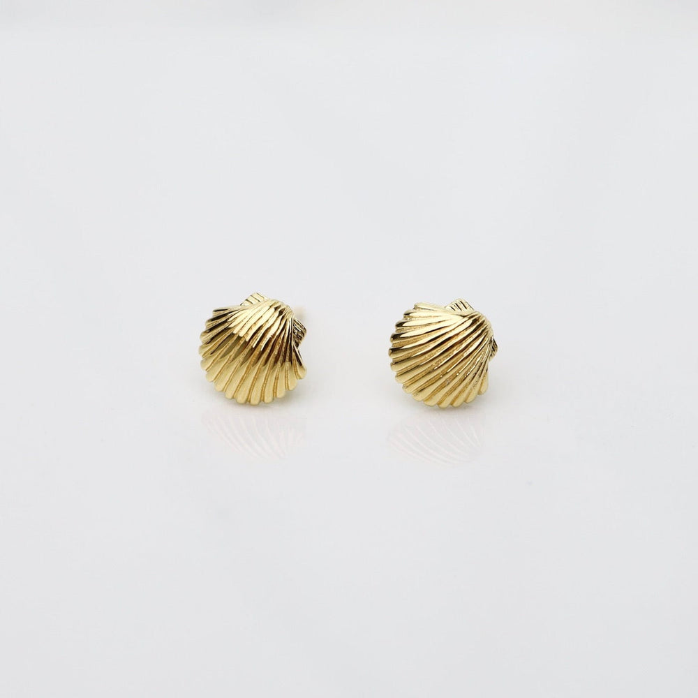 
                      
                        EAR-VRM Little Shell Stud Earrings - Polished Gold Vermeil
                      
                    