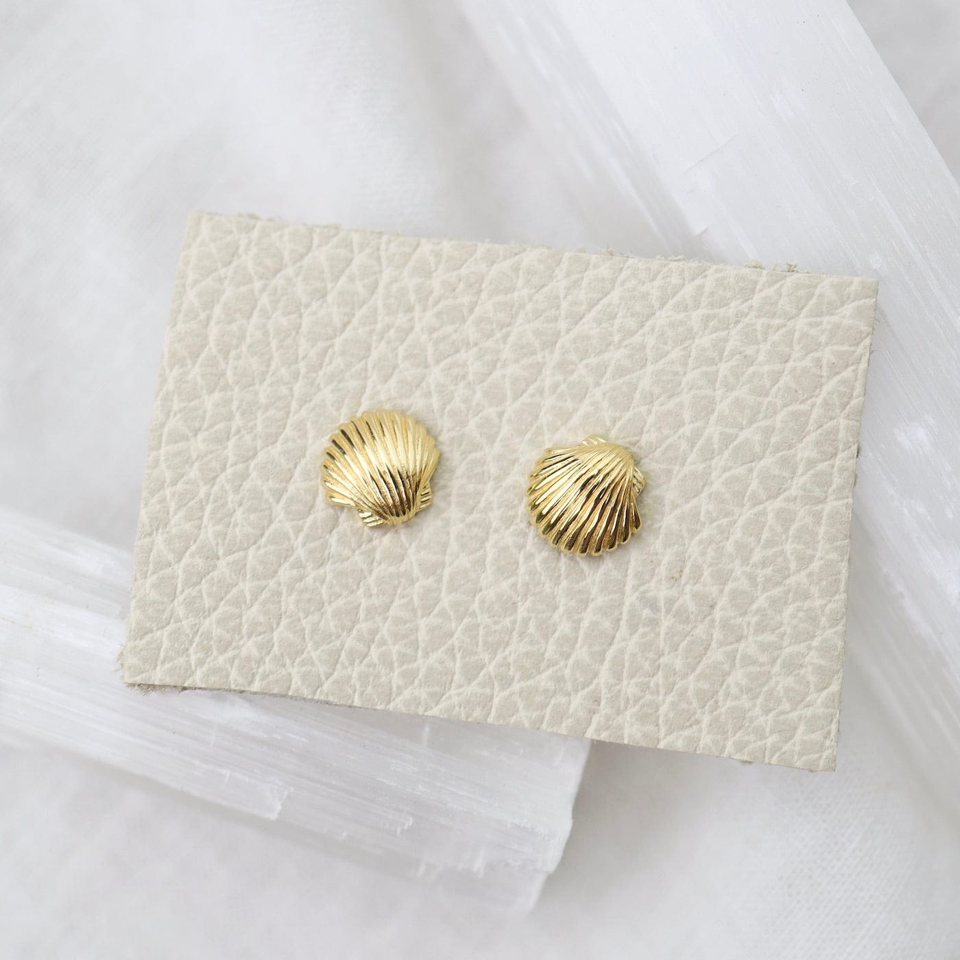 Shell stud deals earrings