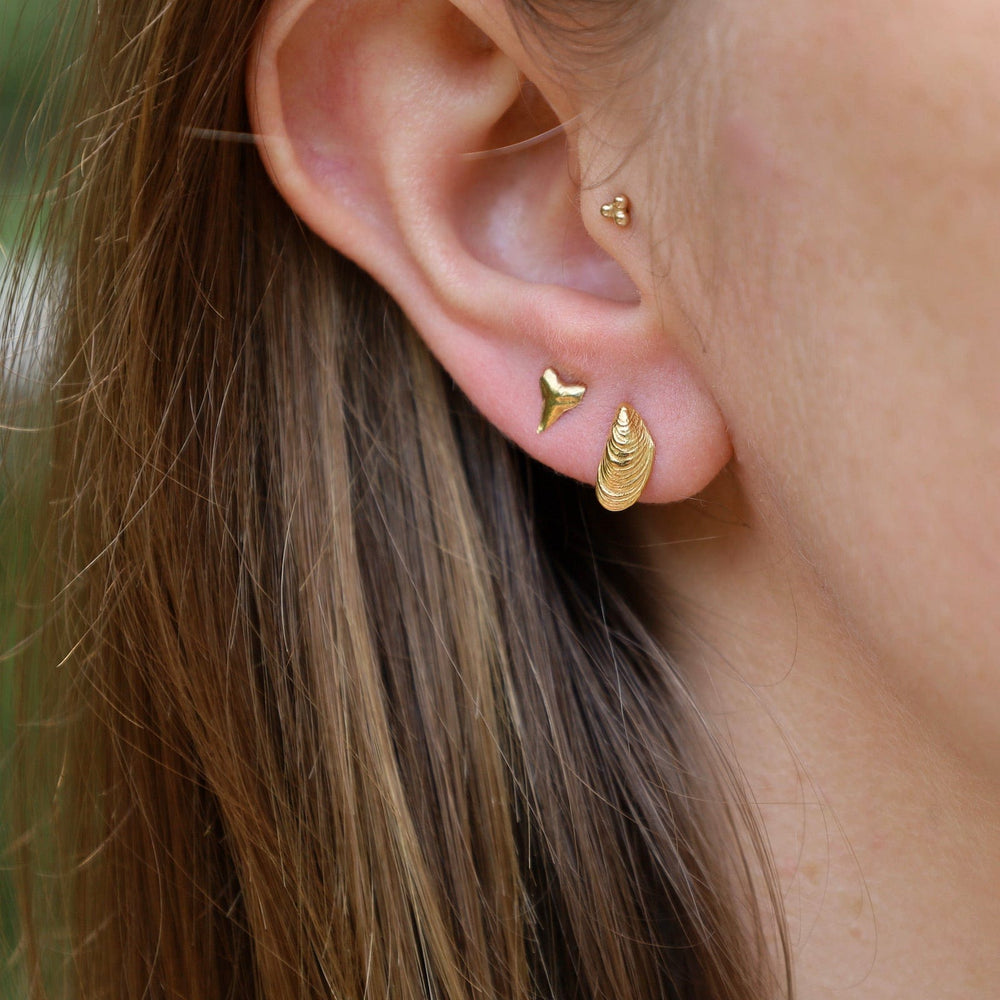 
                  
                    EAR-VRM Mini Serenity Shell Posts In 18K Gold Vermeil
                  
                