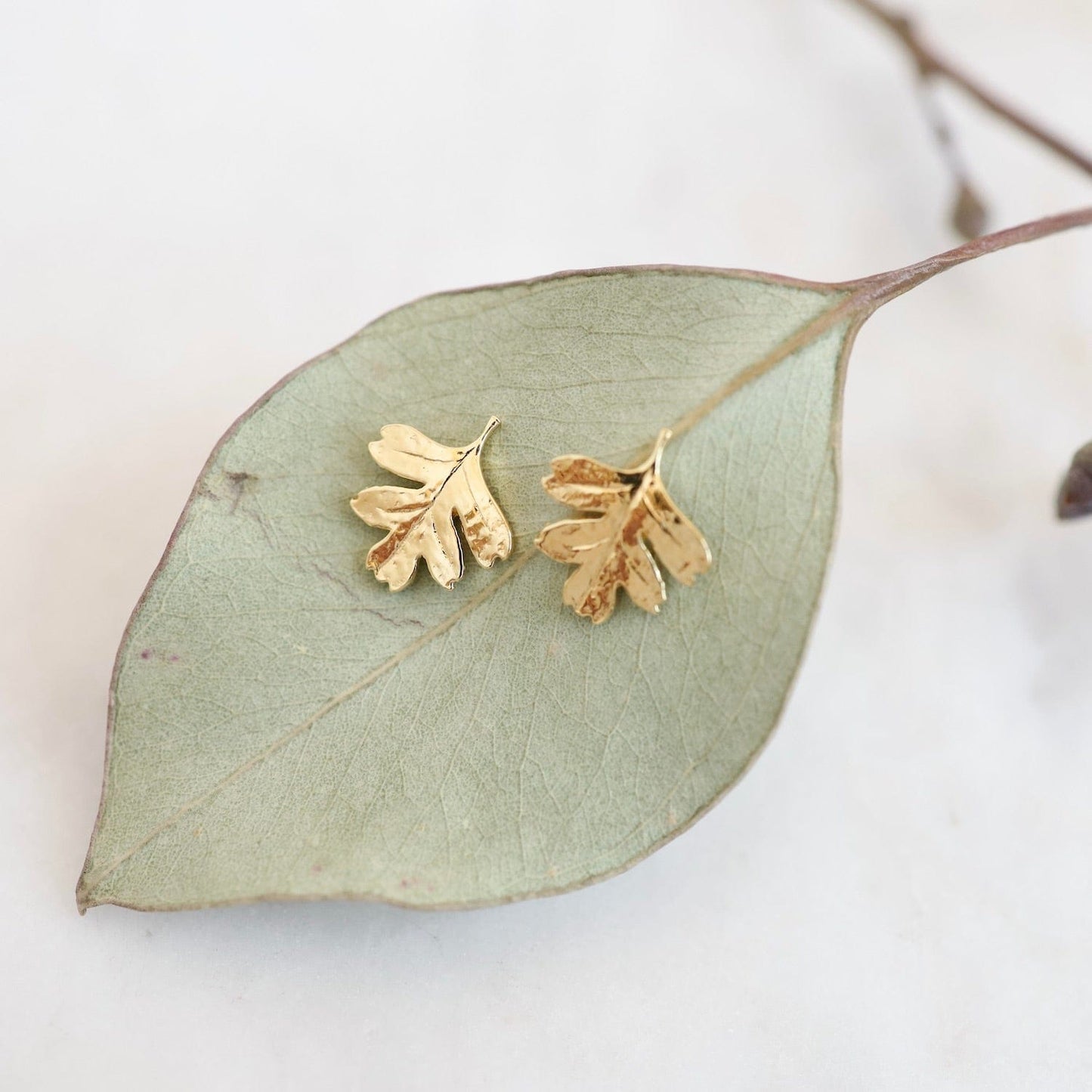 Oak Leaf Stud Earring in Gold Vermeil – Dandelion Jewelry