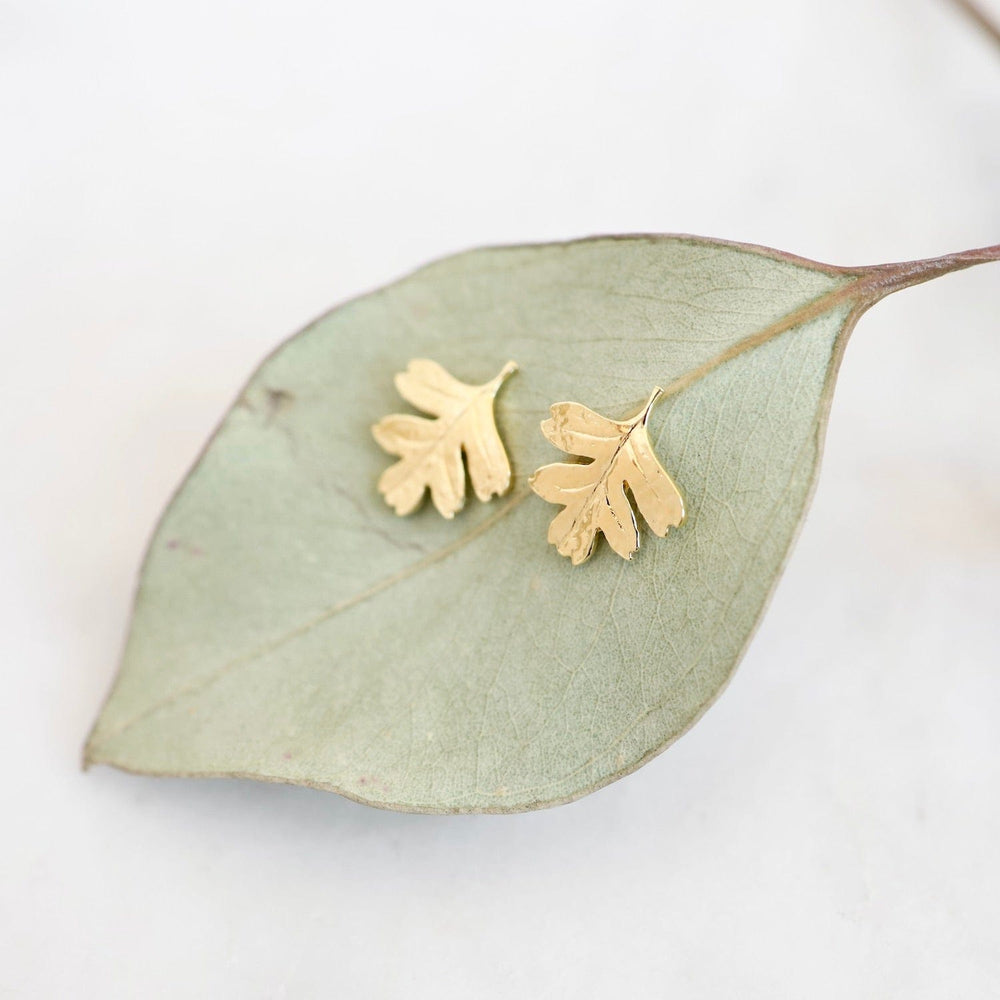 EAR-VRM Oak Leaf Stud Earring in Gold Vermeil