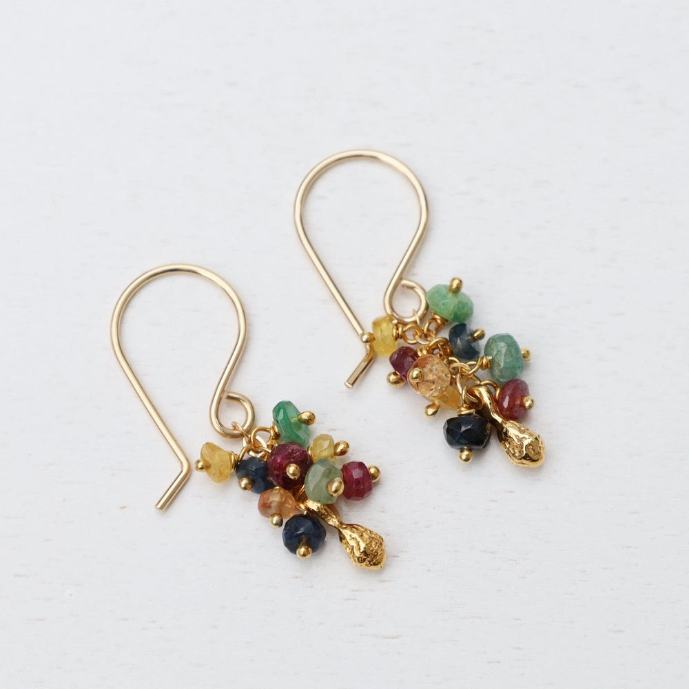 
                  
                    EAR-VRM Seed Pod Cluster Earring - Multi Sapphire
                  
                