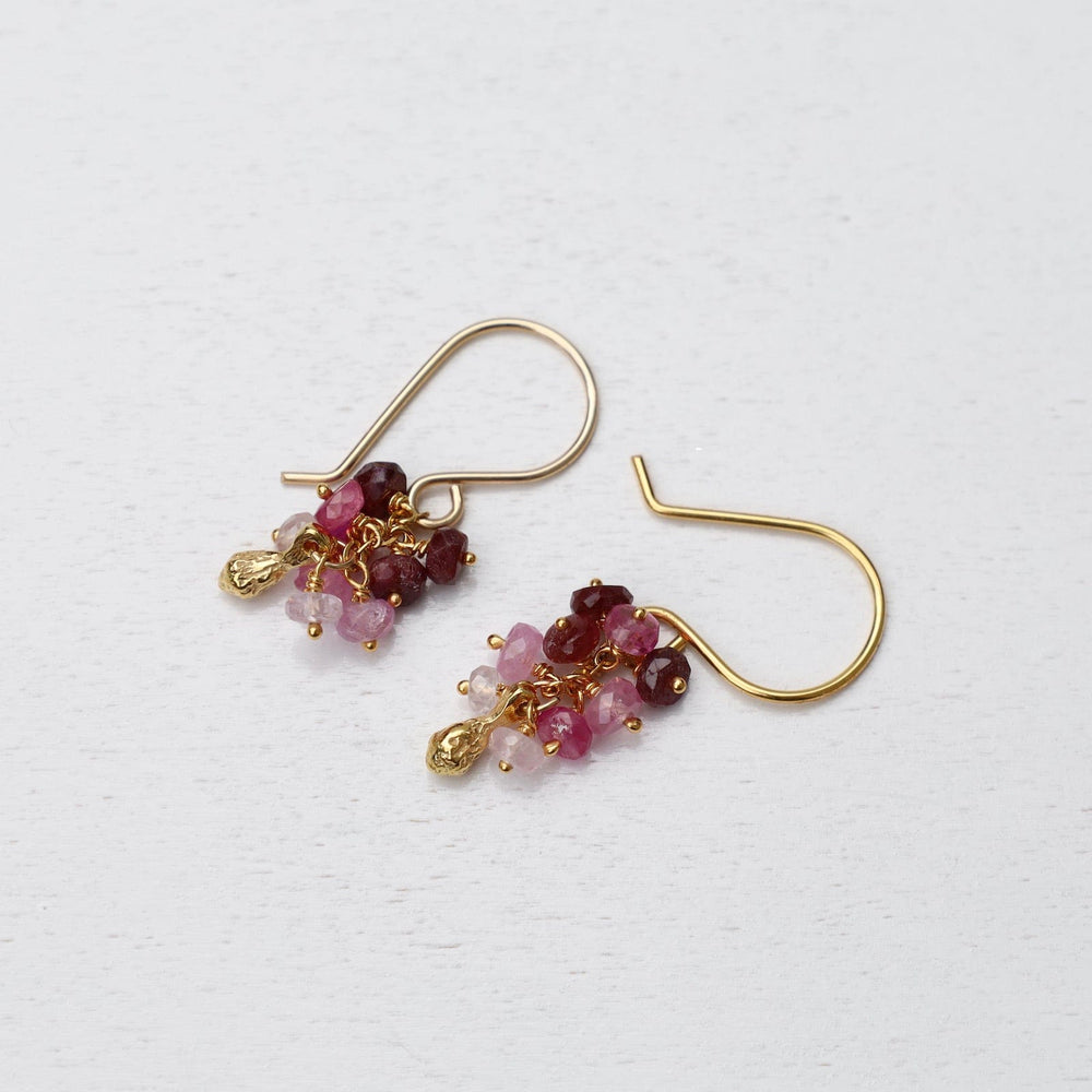 
                  
                    EAR-VRM Seed Pod Cluster Earring - Ruby
                  
                