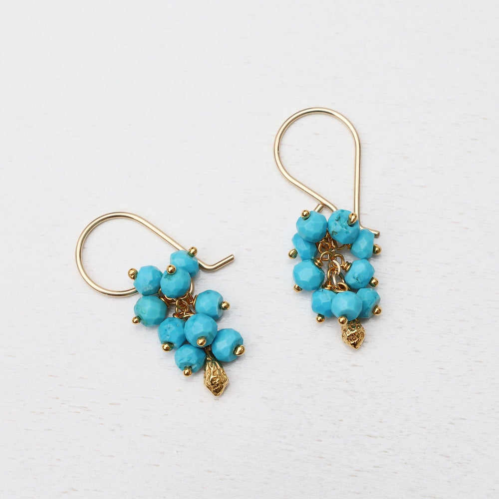 
                  
                    EAR-VRM Seed Pod Cluster Earring - Turquoise
                  
                