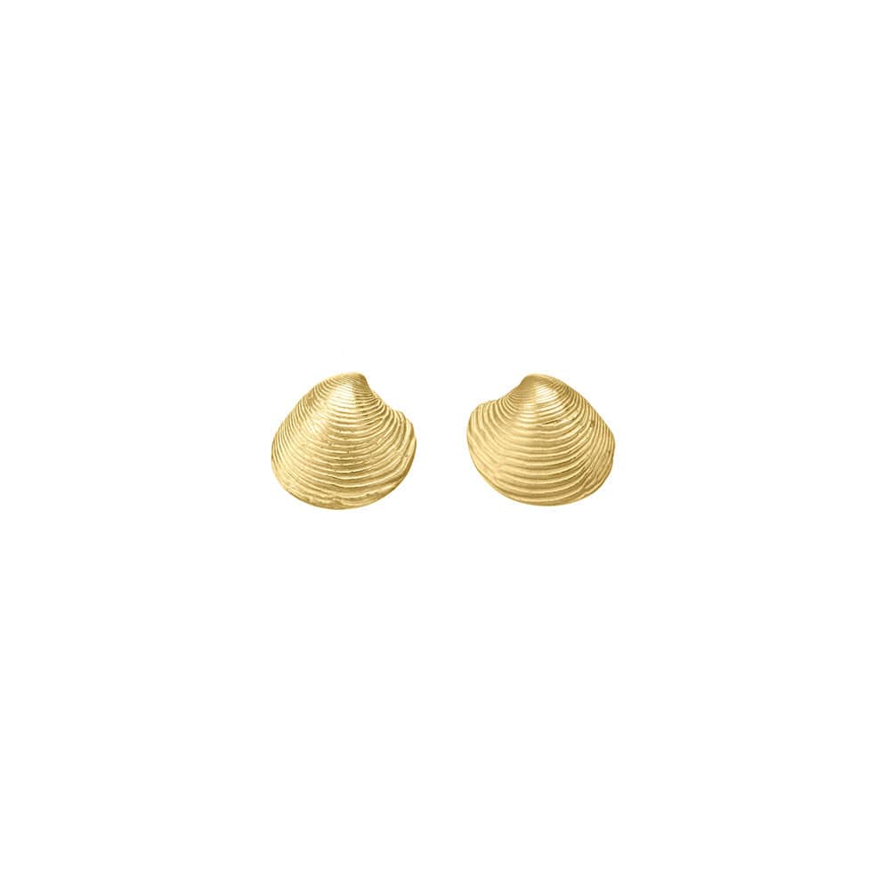 
                      
                        EAR-VRM Small Papaua Shell Posts In 18K Gold Vermeil
                      
                    