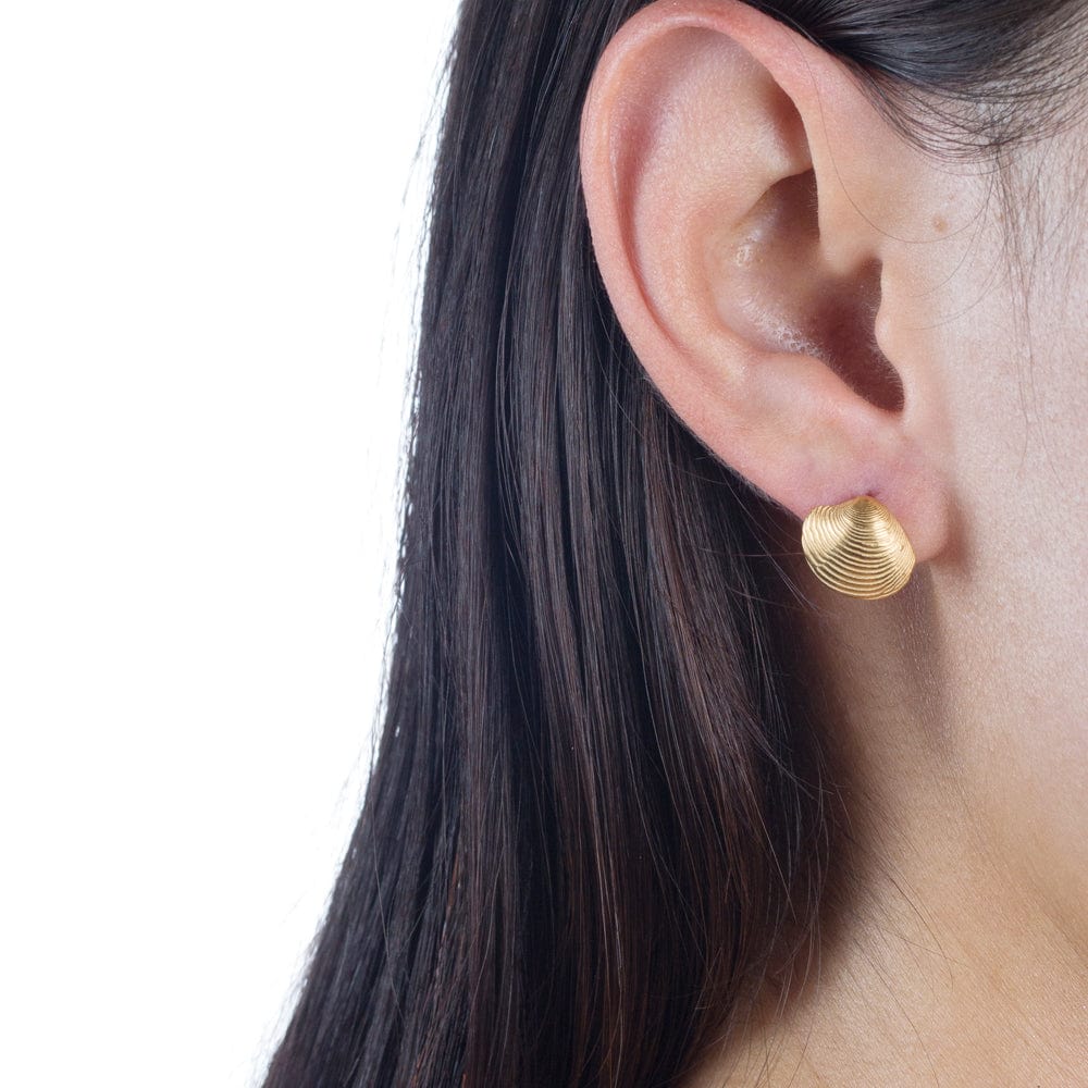 EAR-VRM Small Papaua Shell Posts In 18K Gold Vermeil