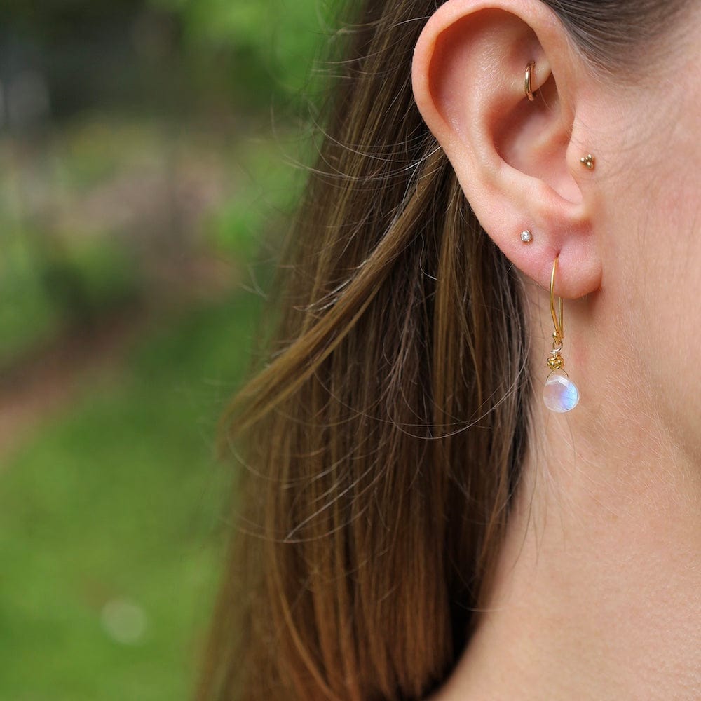 
                      
                        EAR-VRM Tiny Moonstone Earrings
                      
                    