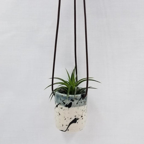 GIFT CERAMIC HANGING AIR PLANT HOLDER WITH AIR PLANT
