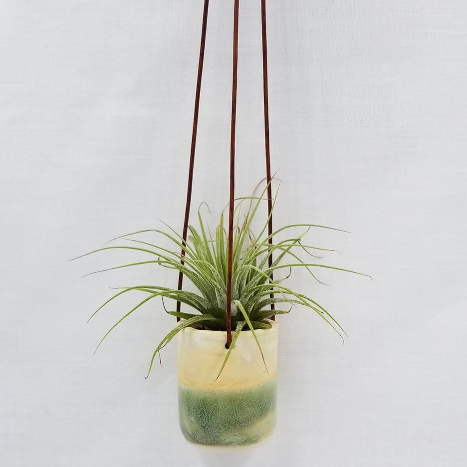 GIFT CERAMIC HANGING AIR PLANT HOLDER WITH AIR PLANT