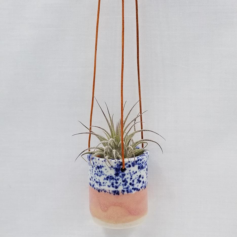 GIFT CERAMIC HANGING AIR PLANT HOLDER WITH AIR PLANT