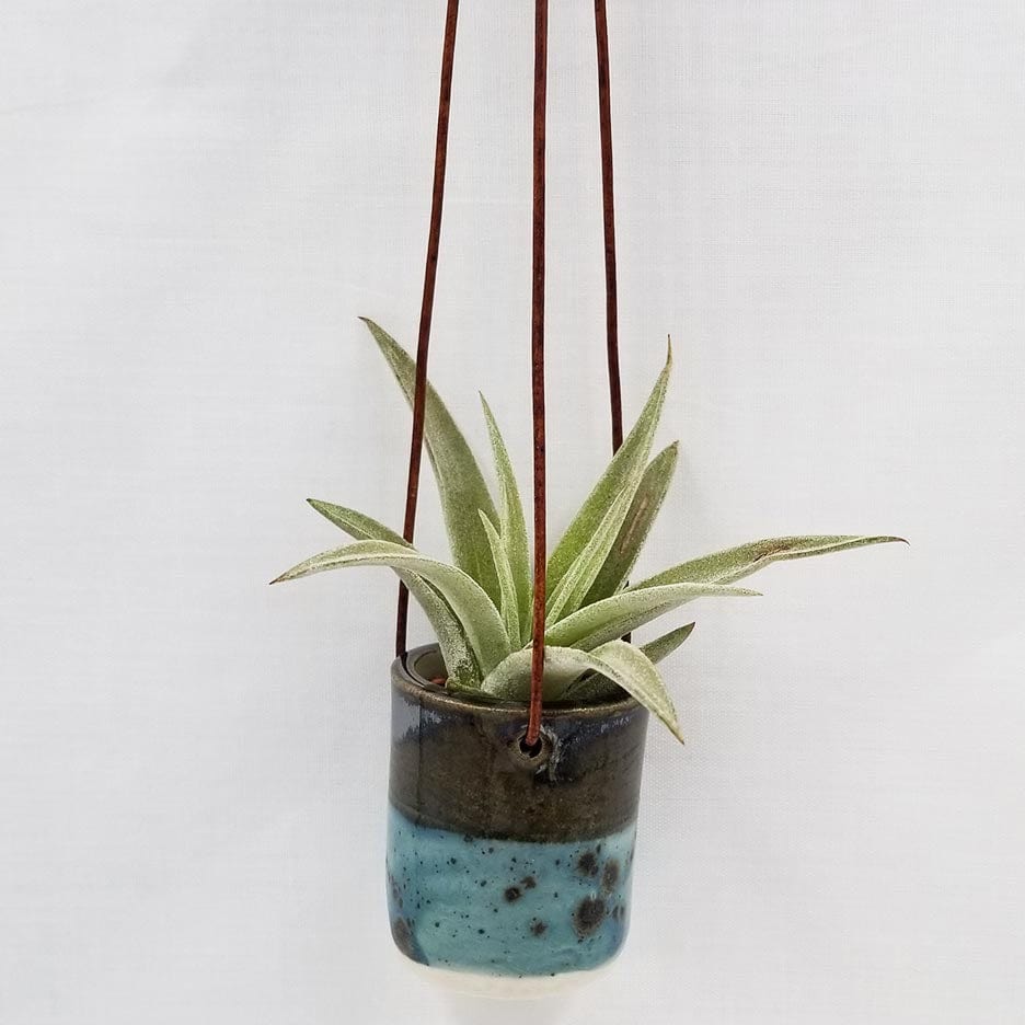 GIFT CERAMIC HANGING AIR PLANT HOLDER WITH AIR PLANT