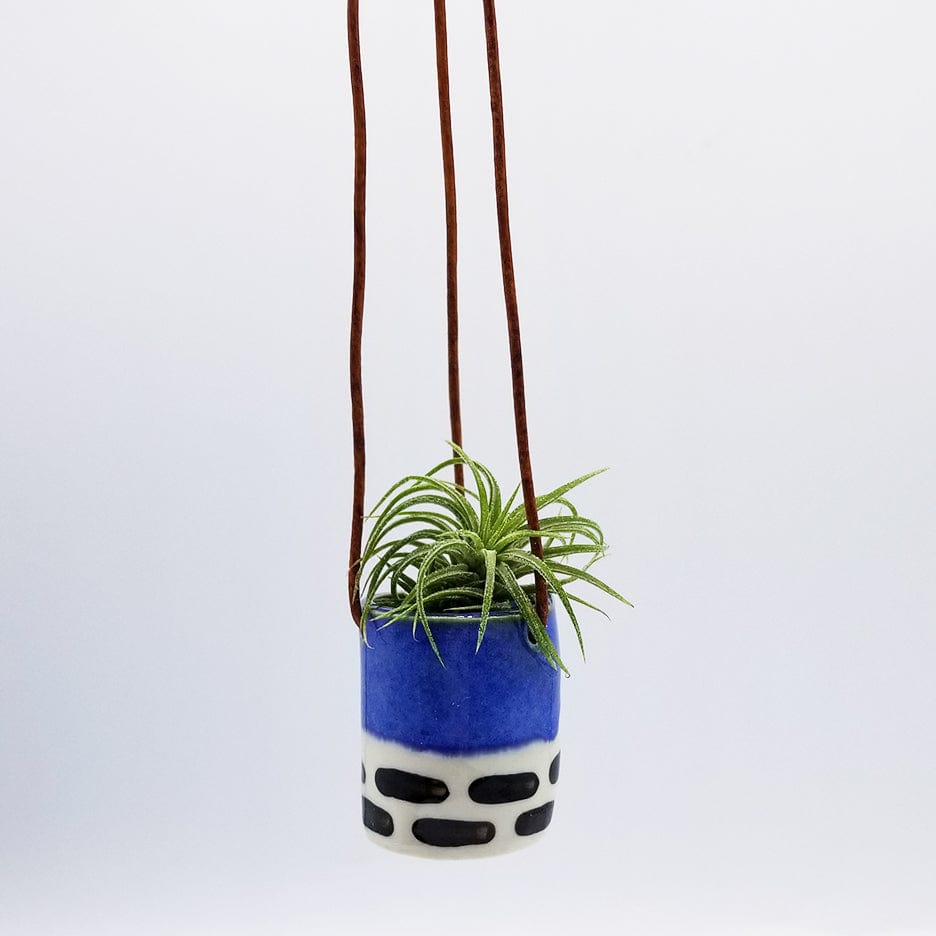 GIFT CERAMIC HANGING AIR PLANT HOLDER WITH AIR PLANT