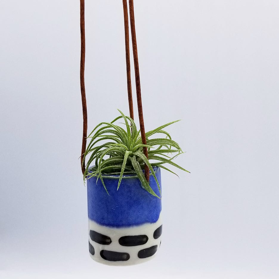 
                      
                        GIFT CERAMIC HANGING AIR PLANT HOLDER WITH AIR PLANT
                      
                    