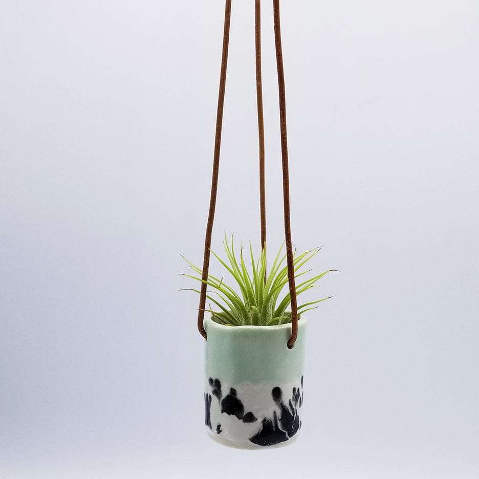 GIFT CERAMIC HANGING AIR PLANT HOLDER WITH AIR PLANT