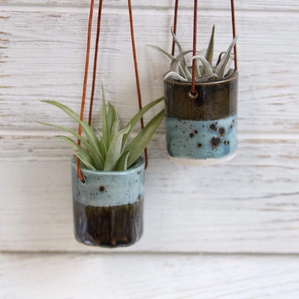 GIFT CERAMIC HANGING AIR PLANT HOLDER WITH AIR PLANT