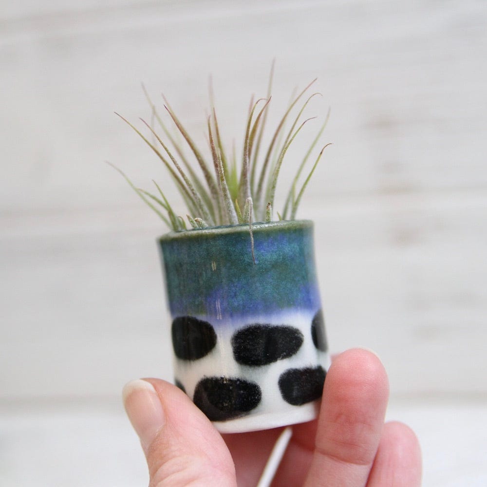 GIFT CERAMIC SITTING AIR PLANT HOLDER WITH AIR PLANT