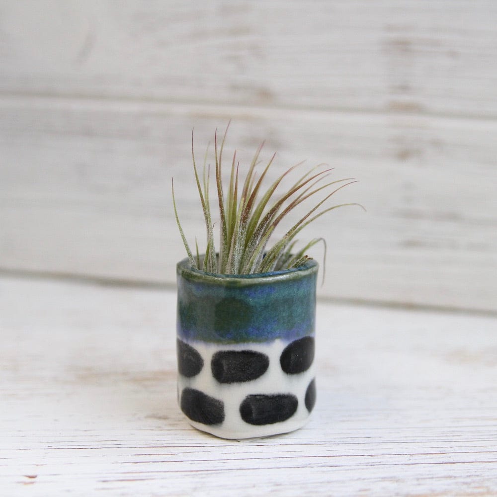 GIFT CERAMIC SITTING AIR PLANT HOLDER WITH AIR PLANT