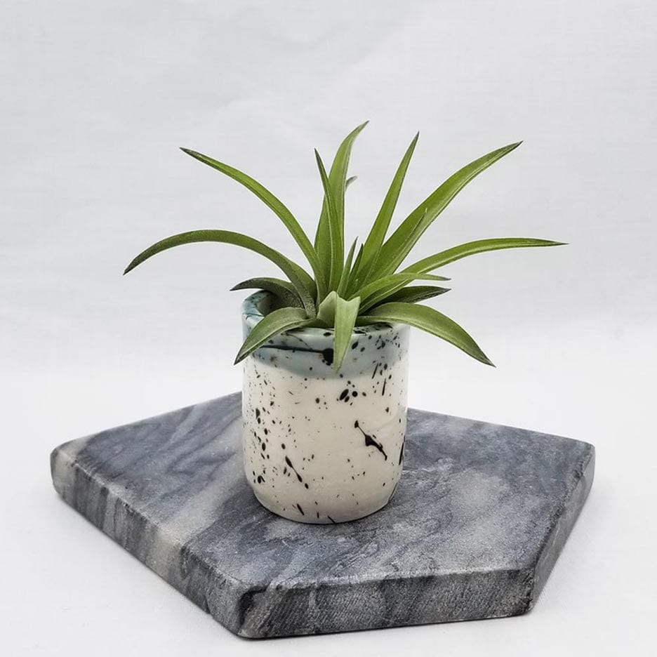 GIFT CERAMIC SITTING AIR PLANT HOLDER WITH AIR PLANT