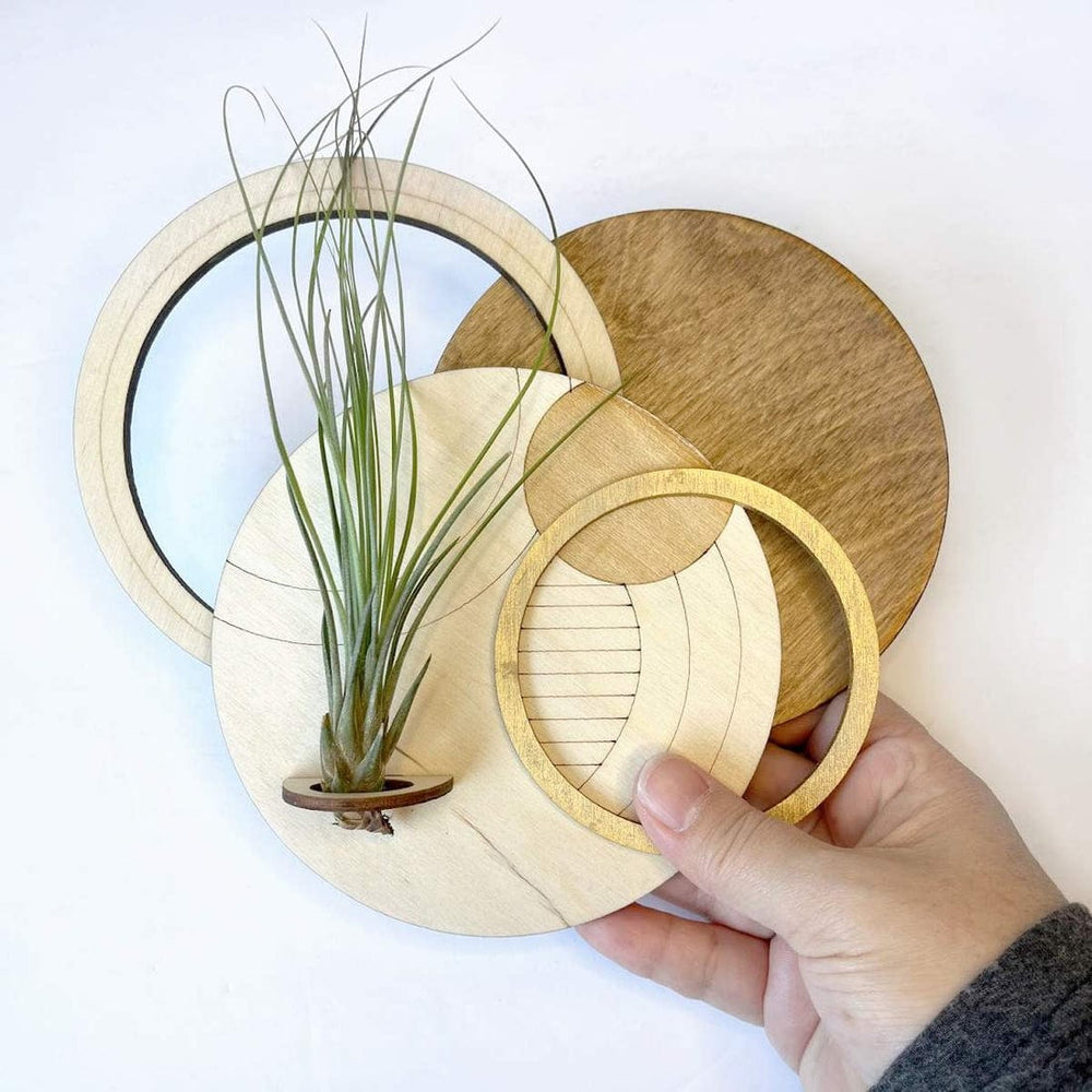 
                      
                        GIFT Geometric Plant Holder with Plant - Circle Design 1
                      
                    