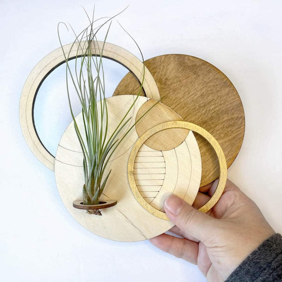 GIFT Geometric Plant Holder with Plant - Circle Design 1