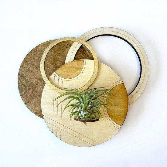 GIFT Geometric Plant Holder with Plant - Circle Design 2