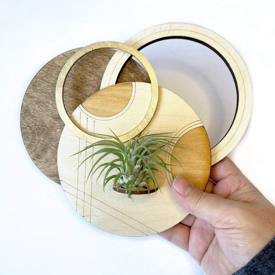 GIFT Geometric Plant Holder with Plant - Circle Design 2