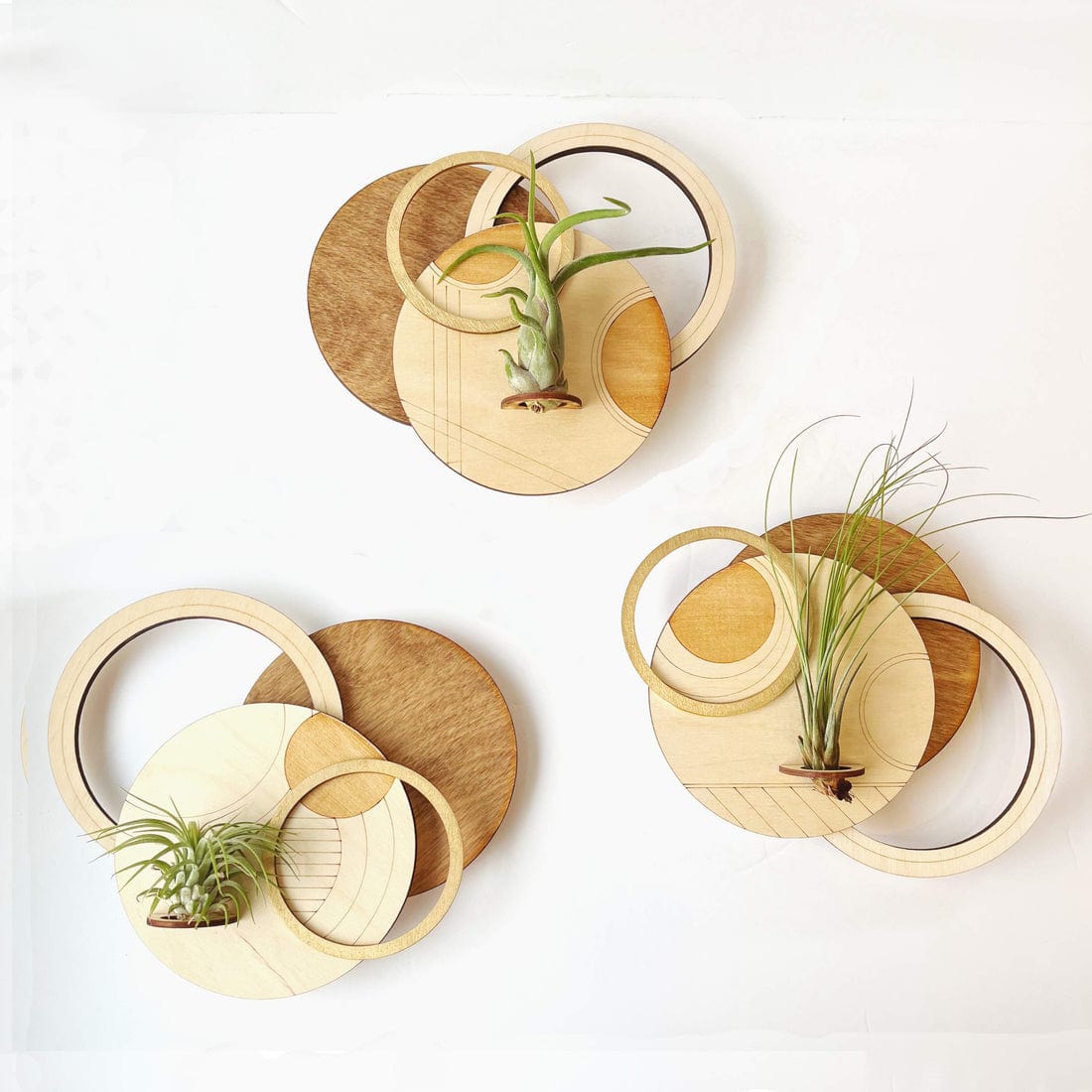 Load image into Gallery viewer, GIFT Geometric Plant Holder with Plant - Circle Design 2
