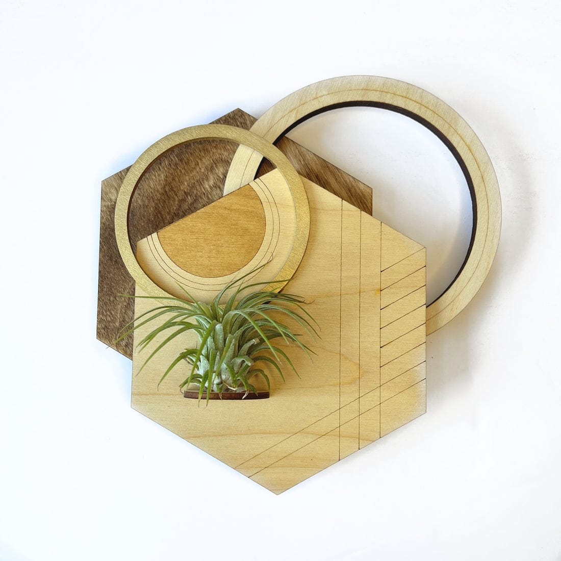 GIFT Geometric Plant Holder with Plant - Hexagon Design 1