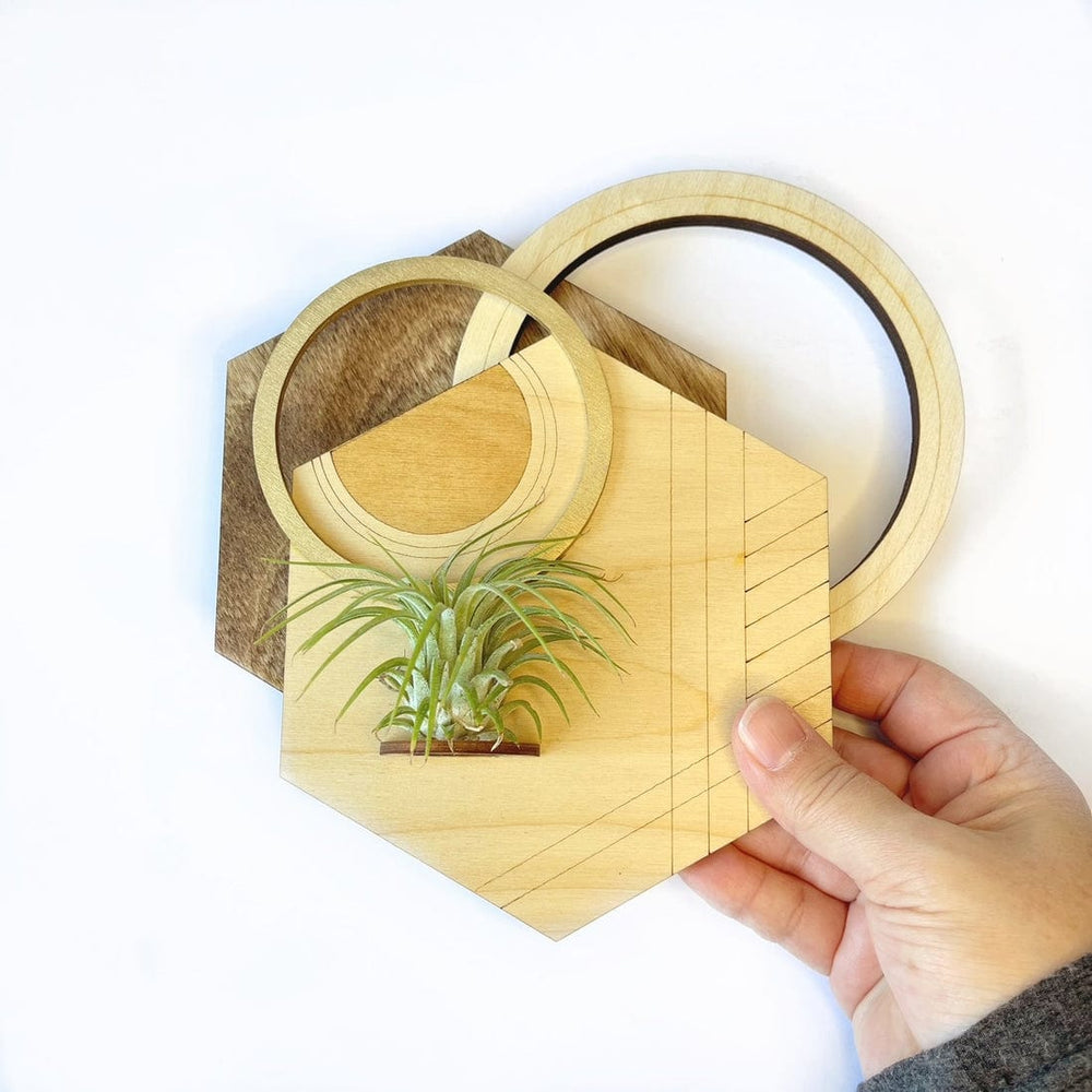 GIFT Geometric Plant Holder with Plant - Hexagon Design 1